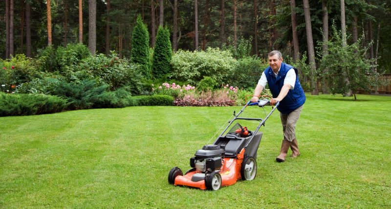 Why You Need Lawn Care Weed Control in Louisville, KY
