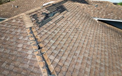 How the Best Roofing Contractor Near Appleton, WI, Can Boost Your Home’s Safety and Comfort